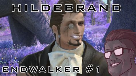 hildebrand endwalker.